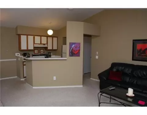 378 Spring Brooke, Brighton, MI 48116 photo 4