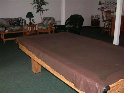 155 Westshore, Jerome, MI 49249 photo 8