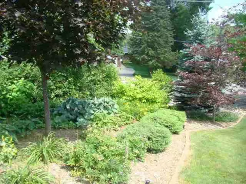 11705 N Waldron, Jerome, MI 49249 photo 5