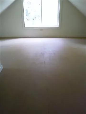 103 Marietta, Spring Arbor, MI 49283 photo 8