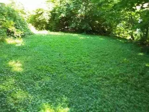 807 Third, Jackson, MI 49203 photo 12