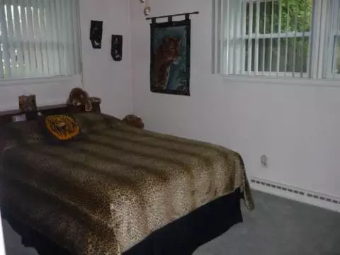 4206 Cantabury, Jackson, MI 49203 photo 9