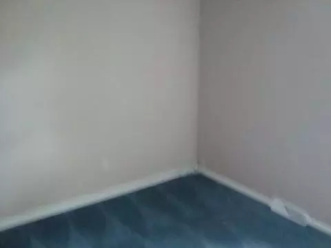 548 Forest, Parma, MI 49269 photo 7
