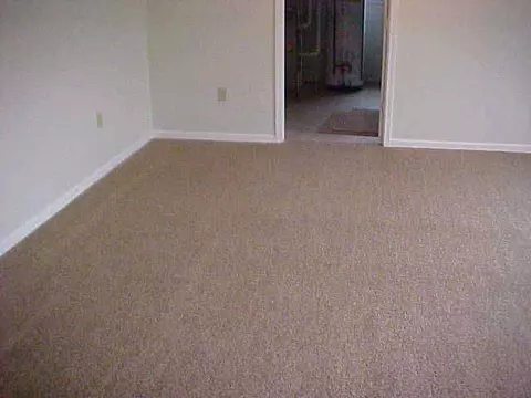 9781 Sayers, Munith, MI 49259 photo 7