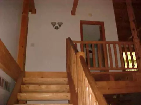 4380 Donnely, Jackson, MI 49201 photo 3