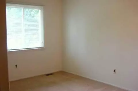165 Sheffield, Saline, MI 48176 photo 7