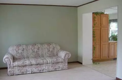 165 Sheffield, Saline, MI 48176 photo 6