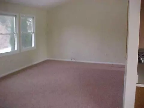 136 Diversy, Brooklyn, MI 49230 photo 4