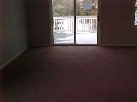136 Diversy, Brooklyn, MI 49230 photo 5