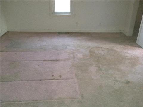 5949 E Dunbar, Monroe, MI 48161 photo 5