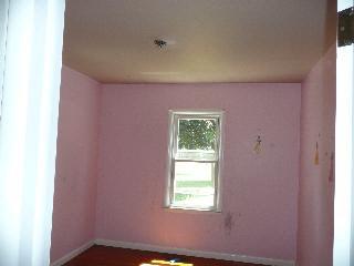 44911 Willis Rd, Belleville, MI 48111 photo 2