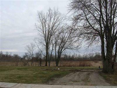 301 Third St, Morrice, MI 48857 photo 1