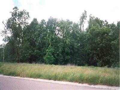 2602 S Shore Dr, Flushing, MI 48433 photo 1