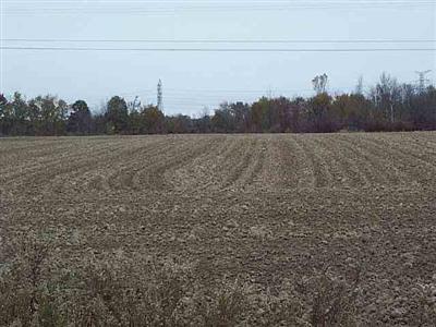 6073 E Dodge Rd Vl, Mount Morris, MI 48458 photo 1