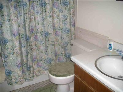 550 Chamberlain St, Flushing, MI 48433 photo 5