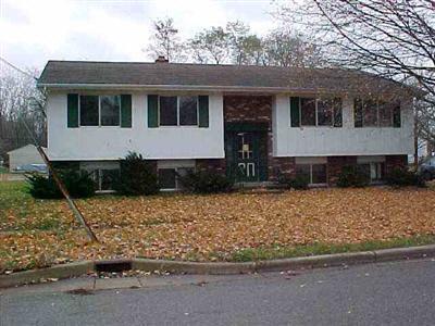 308 Dimmick St, Owosso, MI 48867 photo 1