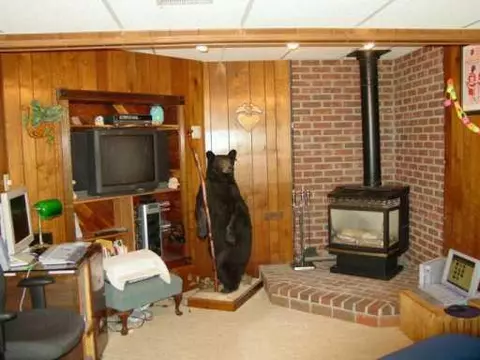 7620 Marshall, Dexter, MI 48130 photo 3