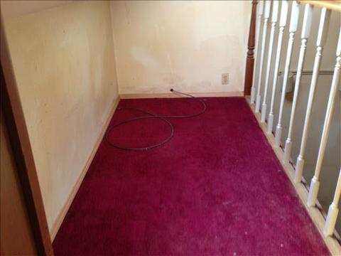 1259 W Smith, Temperance, MI 48182 photo 3