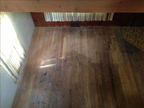 1259 W Smith, Temperance, MI 48182 photo 4
