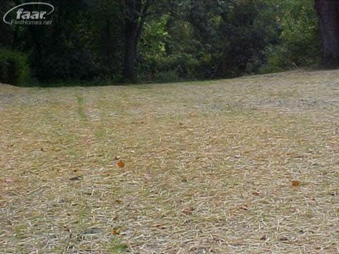 2646 Proctor Ave, Flint, MI 48504 photo 2