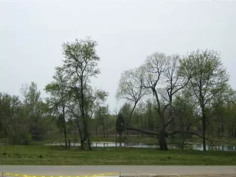 1262 Olive, Jackson, MI 49201 photo 7