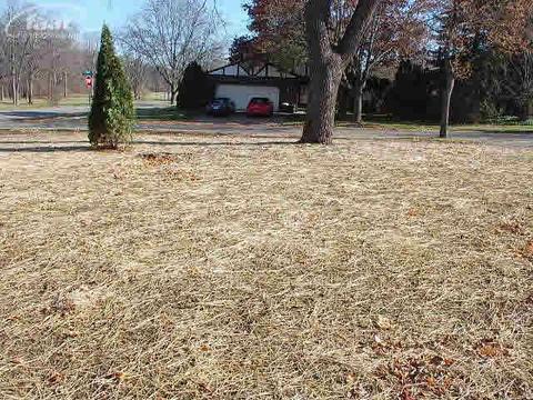 3401 Sunset Dr, Flint, MI 48503 photo 3