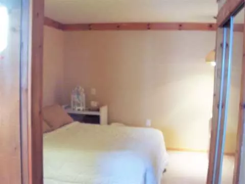 5323 Ann Arbor, Jackson, MI 49201 photo 25