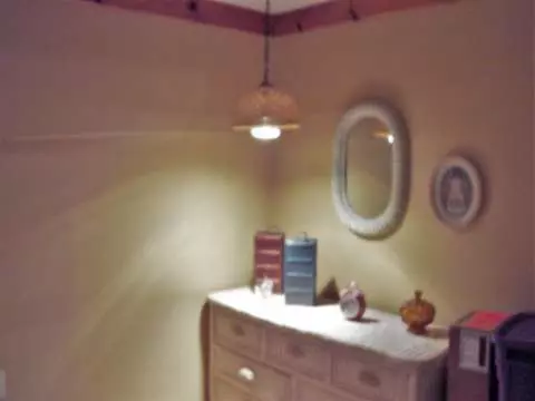 5323 Ann Arbor, Jackson, MI 49201 photo 24