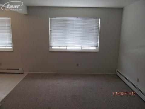 211 N Hazelton St, Flushing, MI 48433 photo 17