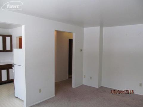 211 N Hazelton St, Flushing, MI 48433 photo 24