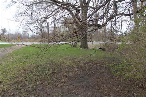3951 Bluebush, Monroe, MI 48162 photo 9