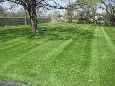 1203 E Bristol Rd, Burton, MI 48529 photo 7