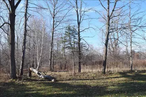 9505 Secor, Temperance, MI 48182 photo 24