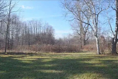 9505 Secor, Temperance, MI 48182 photo 23
