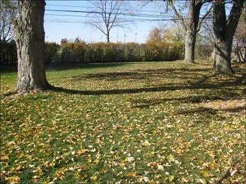 145 Crampton, Monroe, MI 48162 photo 17