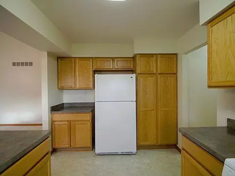 523 Sycamore Cir, Saline, MI 48176 photo 14