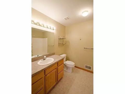 523 Sycamore Cir, Saline, MI 48176 photo 20
