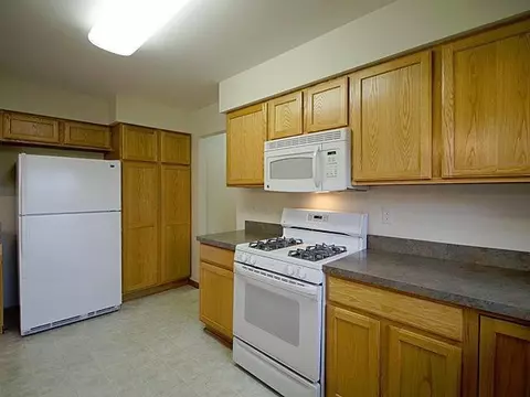 523 Sycamore Cir, Saline, MI 48176 photo 13