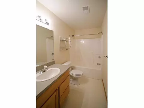 523 Sycamore Cir, Saline, MI 48176 photo 30