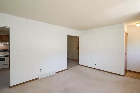 145 Tower, Saline, MI 48176 photo 5