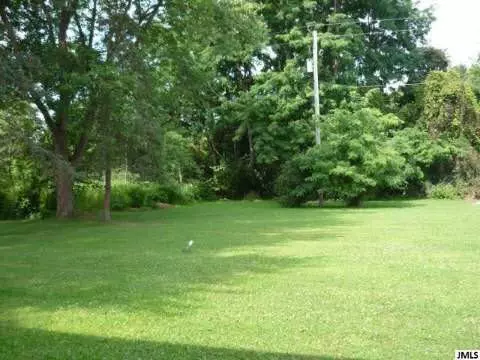 1320 Catsyl, Jackson, MI 49203 photo 1