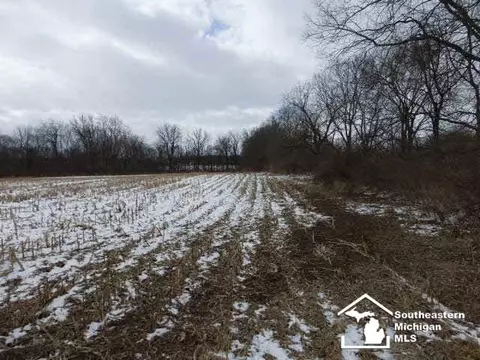 11233 N Custer, Monroe, MI 48162 photo 20