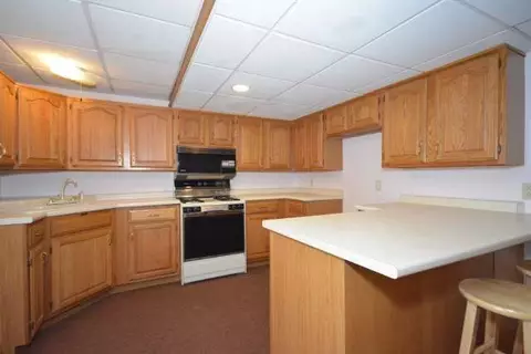 10810 Waldron, Jerome, MI 49249 photo 19