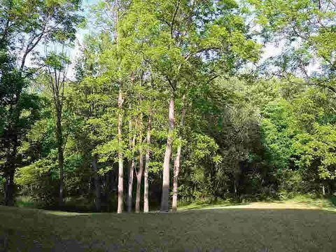 2035 S Dearing, Spring Arbor, MI 49283 photo 21