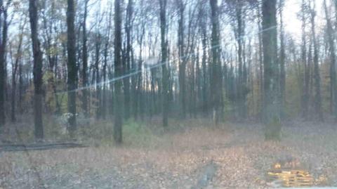 5776 Ormes Rd, Other, MI 48768 photo 1