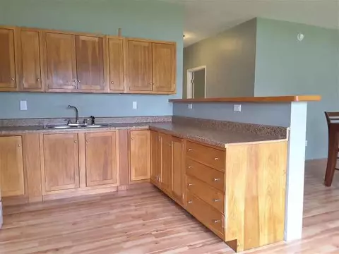 1111 Lori Ln, Hudson, MI 49247 photo 17