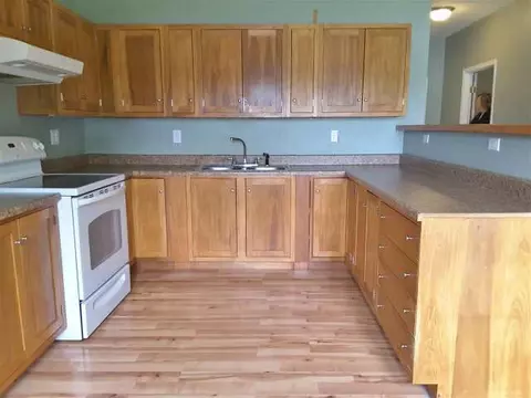 1111 Lori Ln, Hudson, MI 49247 photo 16