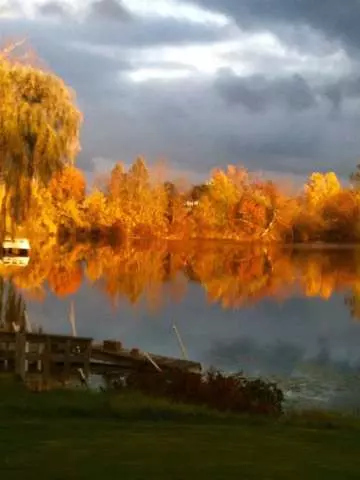 1111 Lori Ln, Hudson, MI 49247 photo 32