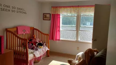 2402 Dawn, Jackson, MI 49203 photo 19