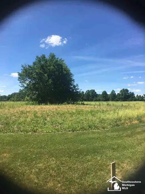 12385 Wilson, Carleton, MI 48117 photo 2